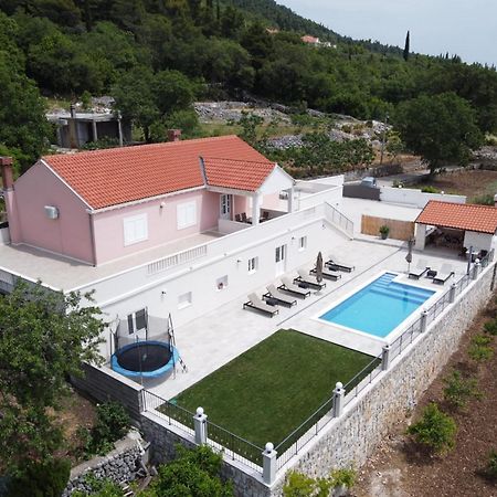 Villa Dragic Pridvorje Exterior photo